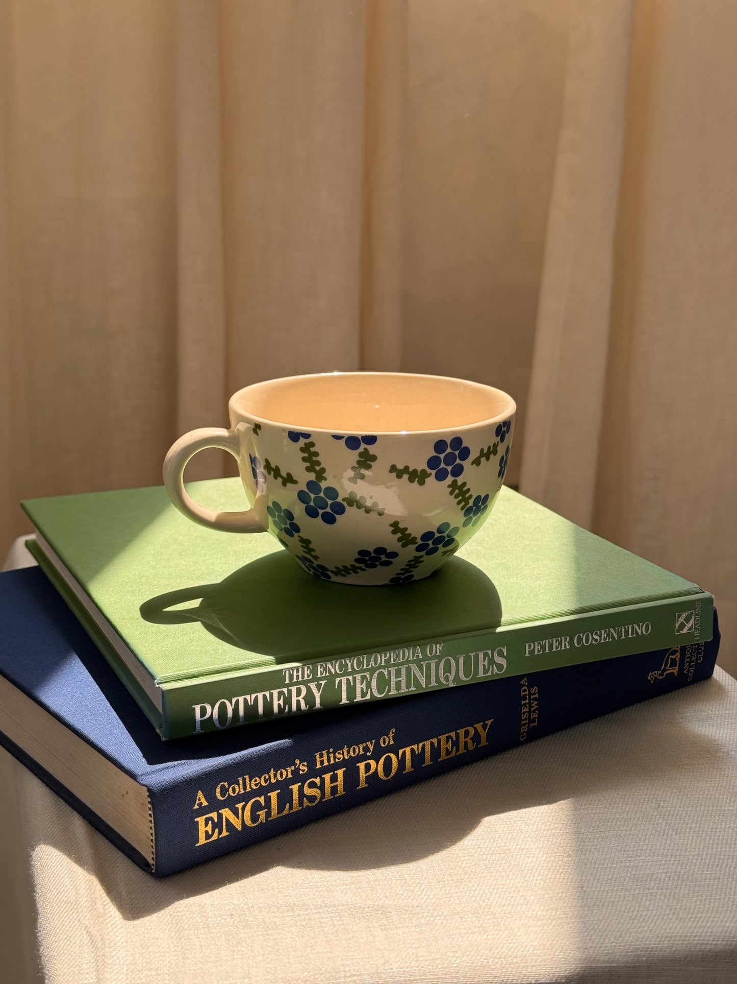 Blueberry mug