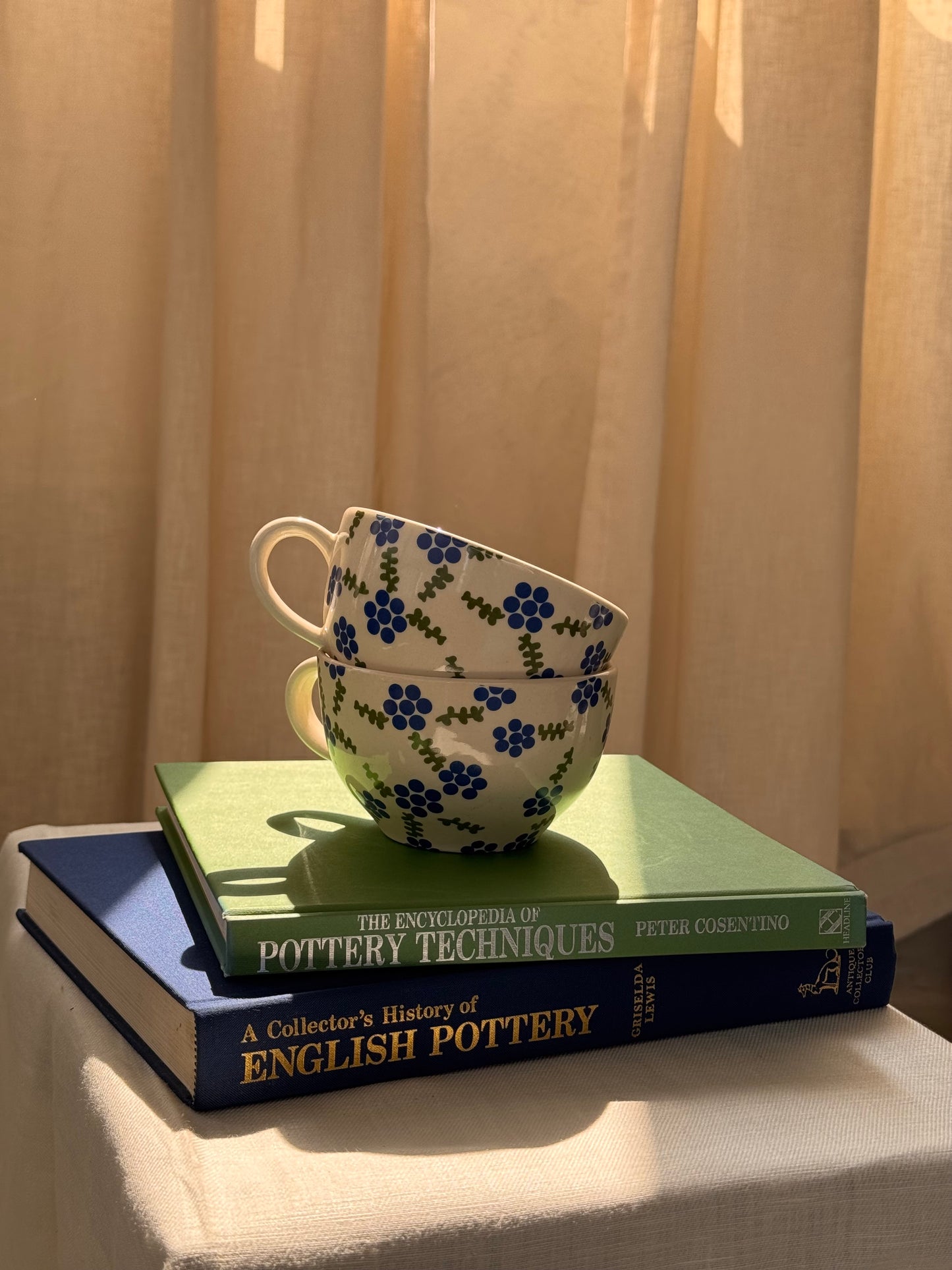 Blueberry mug